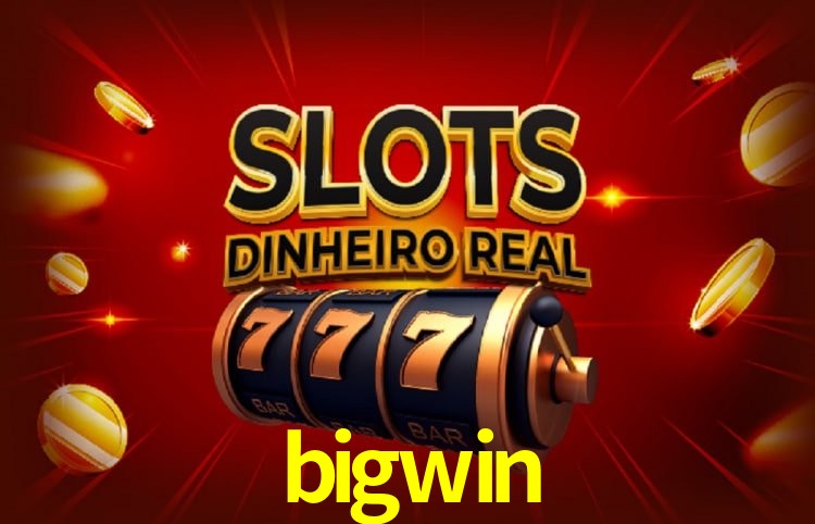 bigwin Salvador - Support